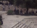 falasteen al quds bab al 3amood falasteen al quds bab al 3amood