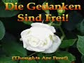 Die Gedanken sind frei - The White Rose Die Gedanken sind frei - The White Rose