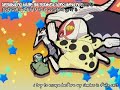 all bleach openings