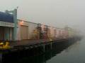 videos de Waiting for the Holland America Zaandam Cruise Ship Horn