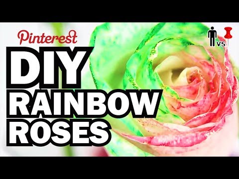 how to dye rainbow roses