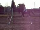 Napo, trot