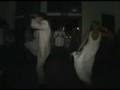 videos de mariage comique fun