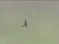 Tragiczny wypadek samolotow w Radomiu Tragiczny wypadek samolotow w Radomiu