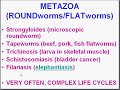 Medical School Pathology, Chapter 8r