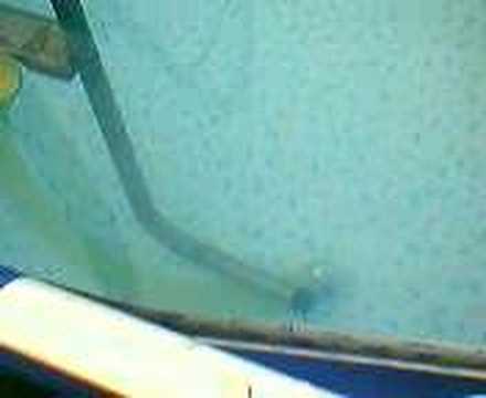 how to drain intex pool