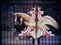 Original Budweiser Clydesdale Commercial