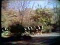Original Budweiser Clydesdale Commercial