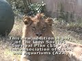 New Arrivals - Ellen Trout Zoo