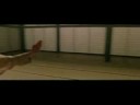 Morpheus trainando neo.