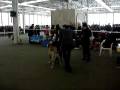 videos de FCI-CACIB Kyiv Cup 2008, P.1