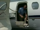 Giving Vets A Lift