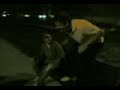 jackass ita amatoriale