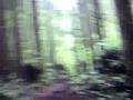 Reiter 9/1/2008 pt 3