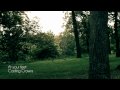 Casting Crowns - At Your Feet Music Video