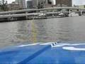 videos de City Cat Brisbane