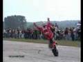 Mok-s-World-Stunt-Ri