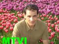 mtvi-dailymotion.html