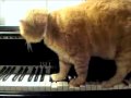 Art - Arnold Schoenberg’s 1909 op. 11 (Cory Arcangel, 2009)