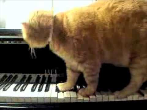 Art - Arnold Schoenberg’s 1909 op. 11 (Cory Arcangel, 2009)
