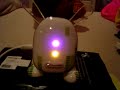 idog amp\ idog amp\