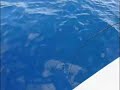 Vertical Jigging - Tunaclub Sabaudia