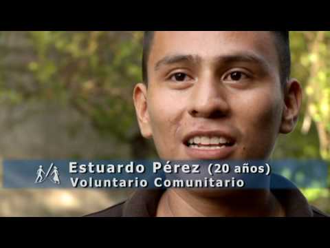 Ver Video