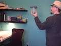 Stinkhole vs Beano