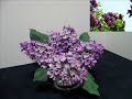 Lilacs Are For Angels