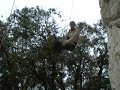 Paaaaaaaaat le singe