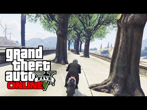 GTA V ONLINE - Funky's Corrida das Árveres