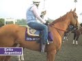 Breeders' Cup horses prepare at Santa Anita, 11-5-09, for the 2009 World Championships