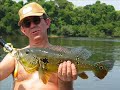 Roosevelt River in the Amazon
