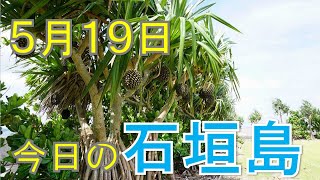 5月19日の石垣島天気