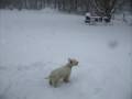 videos de Pics '08 6956