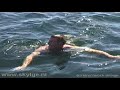Real sailing - (3) Sun, wind & water