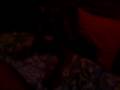 videos de juma pies fetiche