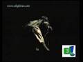 Googoosh: Shabe sepid