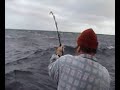 Tuna fishing tasmania Tuna fishing tasmania