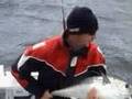 Tuna fishing tasmania