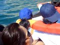 Islas Ballestas Paracas - Peru