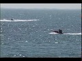 Put-in-Bay Watercraft Rentals