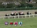 ARLINGTON PARK, 2008-07-10, Race 9