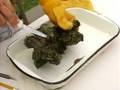108 - Oysters of the Charlotte Harbor Estuary - YouTube
