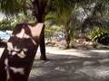 Playa Avellanas,Costa Rica