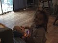 うたう犬動画