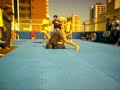 CIA ATHLETICA - CIA FIGHT JIU-JITSU (Submission)