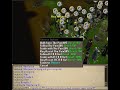 Lorica, first untrimmed Summon cape