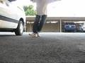 Cwalk Battle
