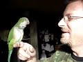 How to Scritch your Quaker How to Scritch your Quaker